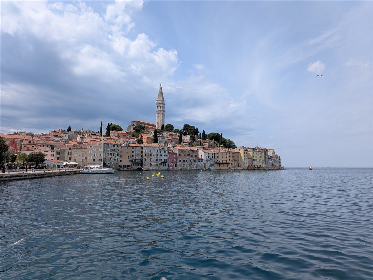 Rovinj old town from the harbour — colourful buildings and the bell tower